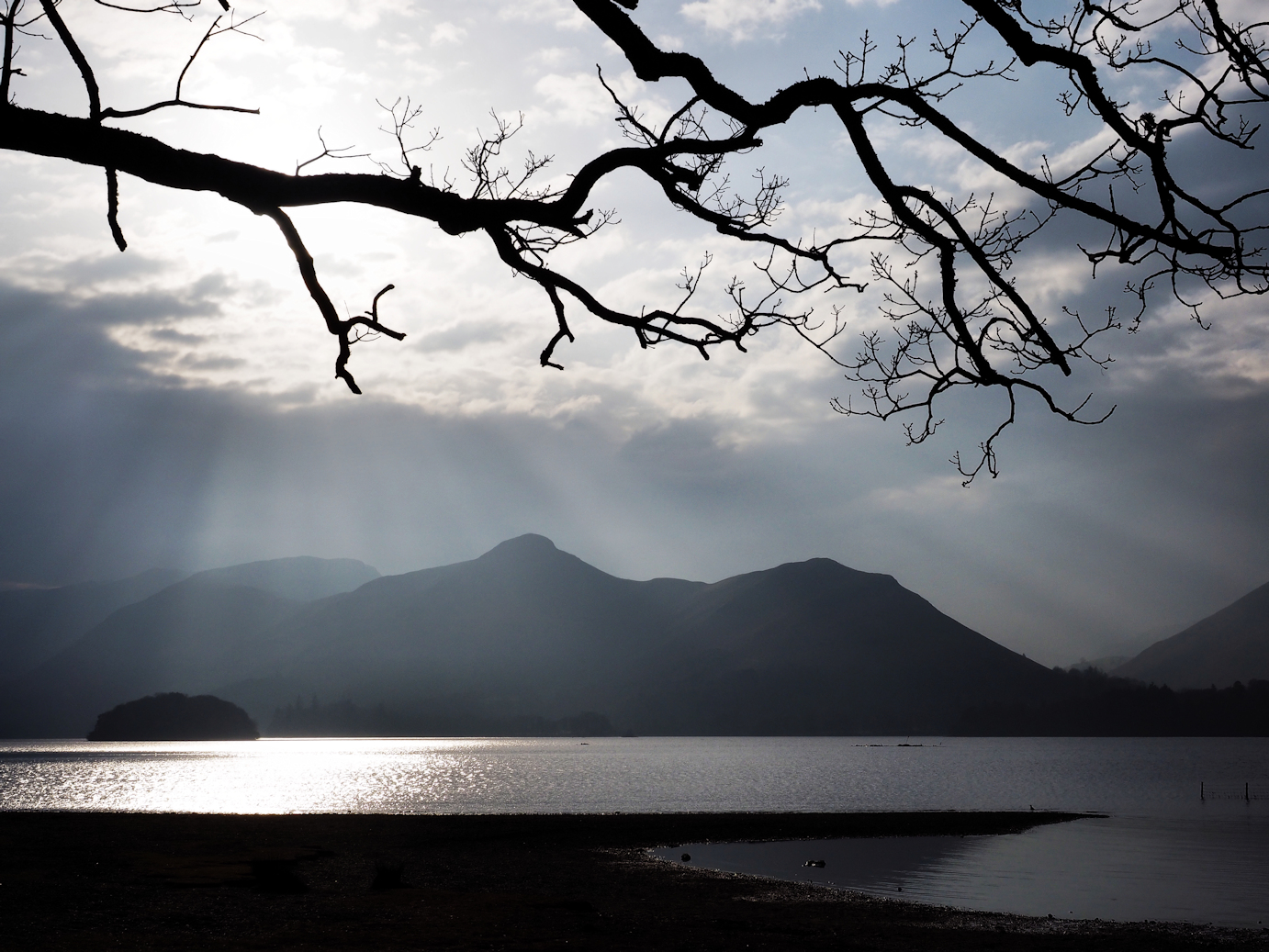 Landscapes, still life, nature